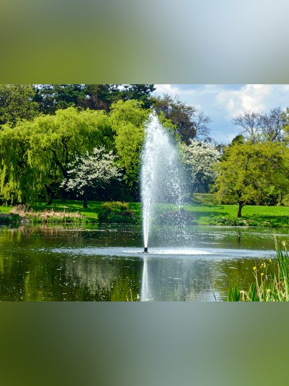 Serene Green Park Fountain Photography Print